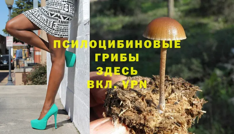 Псилоцибиновые грибы MAGIC MUSHROOMS  наркотики  Костомукша 